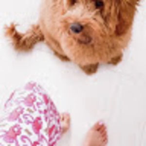 Meet your Posher, Ashlyn